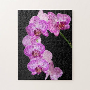 Puzzle EE. UU., Georgia, Savannah, Grupo de orquídeas 2