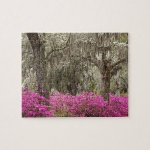 Puzzle EE. UU., Georgia, Savannah, Primavera en Historic
