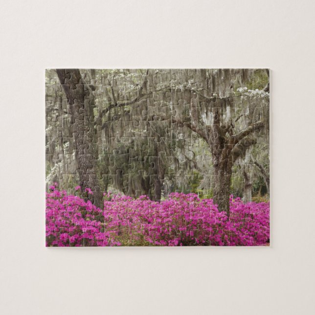 Puzzle EE. UU., Georgia, Savannah, Primavera en Historic (Horizontal)