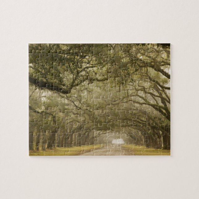 Puzzle EE. UU., Georgia, Savannah, Un camino bordeado de  (Horizontal)