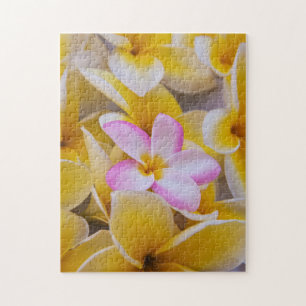 Puzzle EE. UU., Hawái, Oahu, Flores de plumeria en flor 1