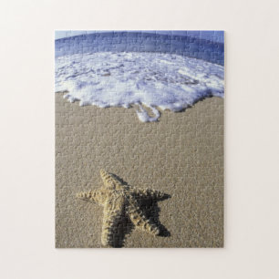 Puzzle EE.UU., Hawaii, Maui, Makena Beach, Starfish y