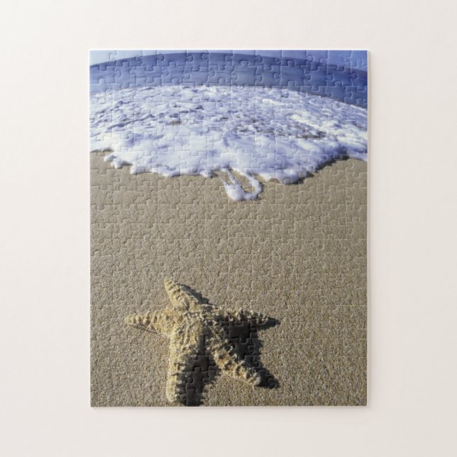 Puzzle EE.UU., Hawaii, Maui, Makena Beach, Starfish y (Vertical)