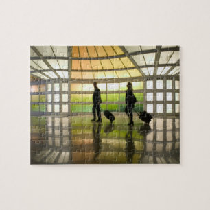 Puzzle EE. UU., Illinois, Chicago: O'Hare Internacional