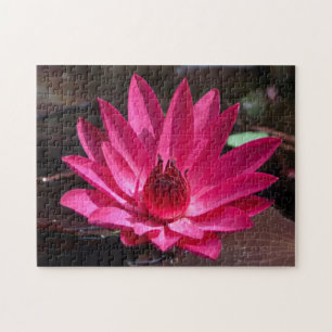 Puzzle EE. UU., Kansas, Lirios de agua de color rojo bril