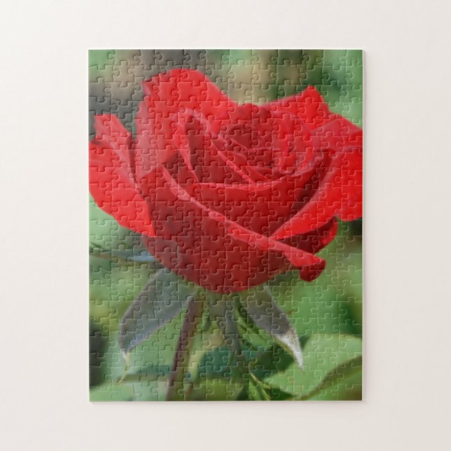 Puzzle EE. UU., Kansas, Rosa Roja (Vertical)