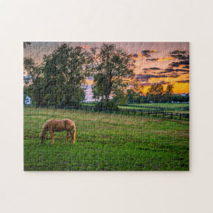 Puzzle EE.UU., Lexington, Kentucky. Caballo solitario al 