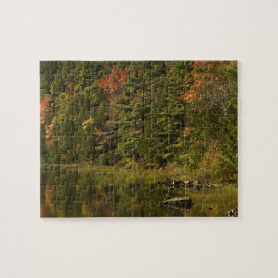 Puzzle EE. UU.; Maine; Acadia NP. Reflejos de otoño a las