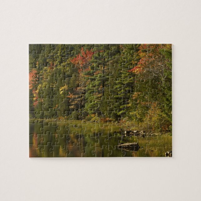 Puzzle EE. UU.; Maine; Acadia NP. Reflejos de otoño a las (Horizontal)