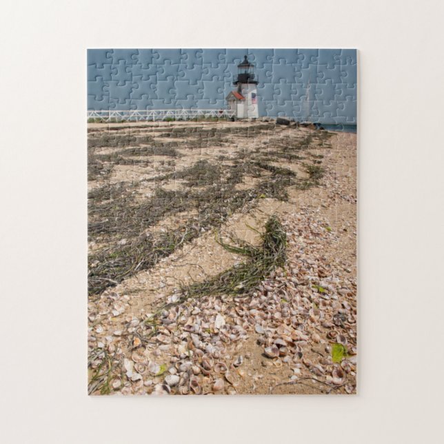Puzzle EE. UU., Massachusetts, Nantucket. Concha (Vertical)