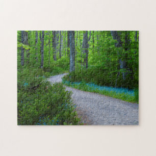 Puzzle EE. UU., Michigan. Camino a través de los bosques