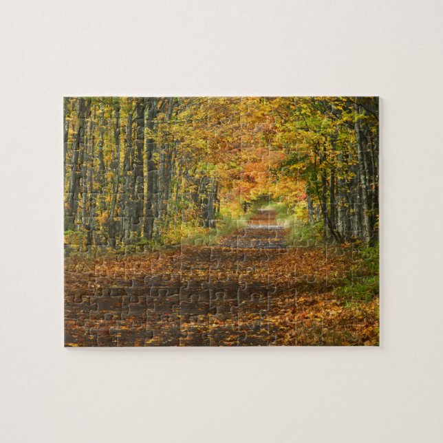 Puzzle EE. UU., Michigan, Península Superior. Carretera h (Horizontal)
