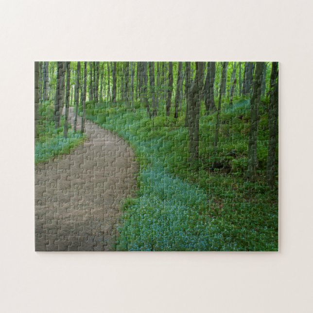 Puzzle EE. UU., Michigan. Sendero Miner's Falls (Horizontal)