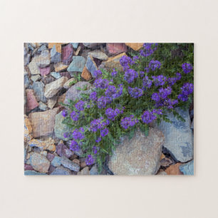 Puzzle EE. UU., Montana, Parque Nacional Glaciar