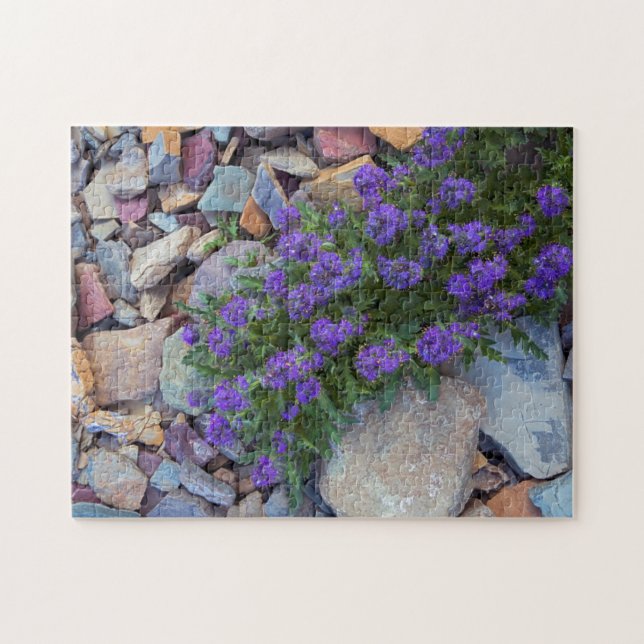 Puzzle EE. UU., Montana, Parque Nacional Glaciar (Horizontal)