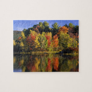 Puzzle EE.UU., New Hampshire, Moultonborough. Árboles en