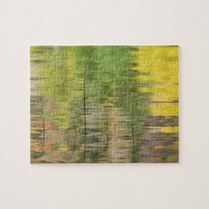 Puzzle EE. UU., Nueva York, Adirondacks, Reflejos en el a