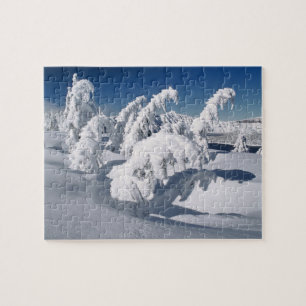 Puzzle EE.UU., Oregón, Crater Lake NP. Árboles caen baj