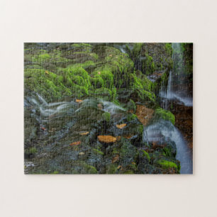 Puzzle EE. UU., Pensilvania, Benton, Ricketts Glen State