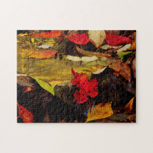 Puzzle EE. UU., Pensilvania, montañas Pocono 1