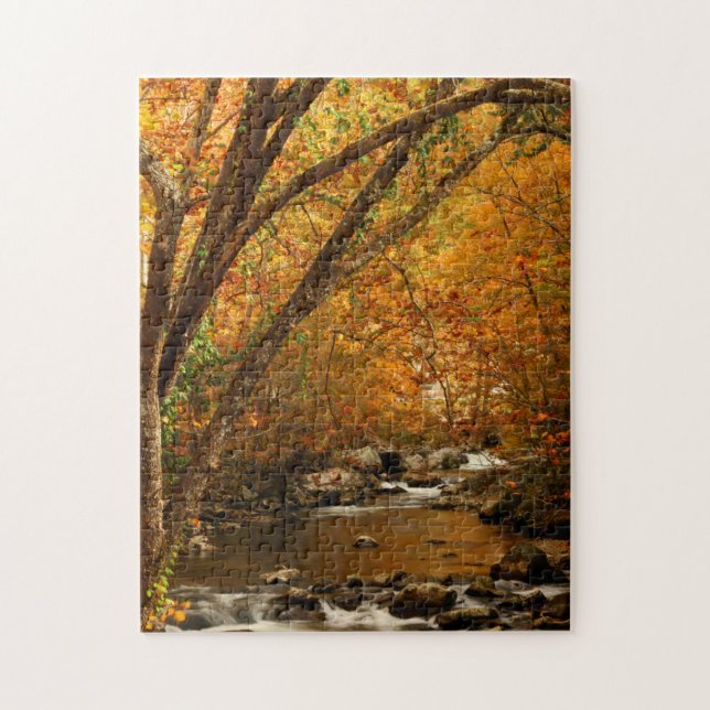 Puzzle EE. UU., Tennessee. Rushing Mountain Creek 3 (Vertical)