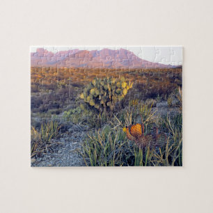 Puzzle EE. UU., Texas, Big Bend NP. Un anochecer arenoso