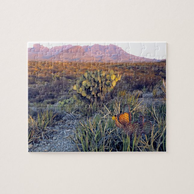Puzzle EE.UU., Texas, Big Bend NP. Un atardecer rosado (Horizontal)