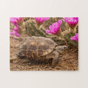 Puzzle EE. UU., Texas, condado de Hidalgo. Tortuga terres