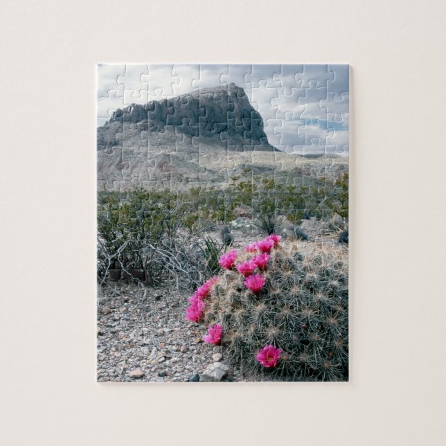 Puzzle EE. UU., Texas, Parque Nacional Big Bend. Florecie (Vertical)