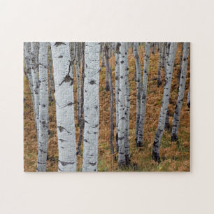 Puzzle EE.UU., Utah, Bosque Nacional Uinta-Wasatch Cache
