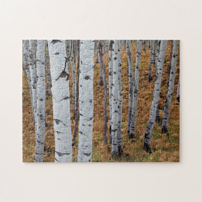 Puzzle EE.UU., Utah, Bosque Nacional Uinta-Wasatch Cache  (Horizontal)