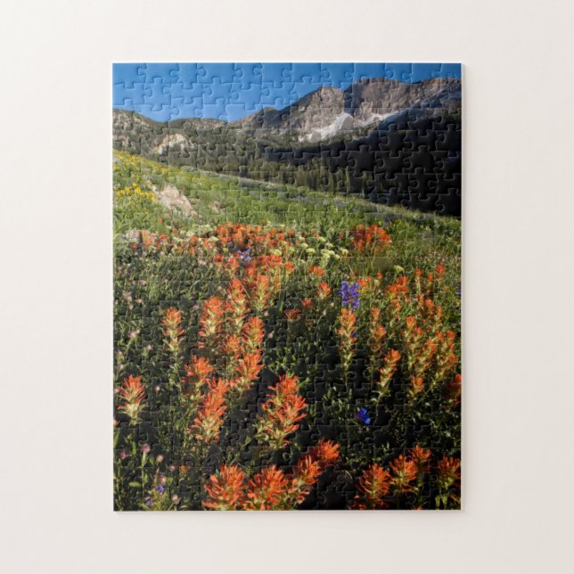 Puzzle EE. UU., Utah, Bosque Nacional Uinta-Wasatch-Cache (Vertical)