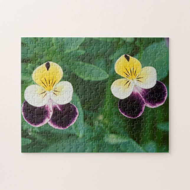 Puzzle EE.UU., Utah, Cache Valley, Johnny Jump Up (Horizontal)