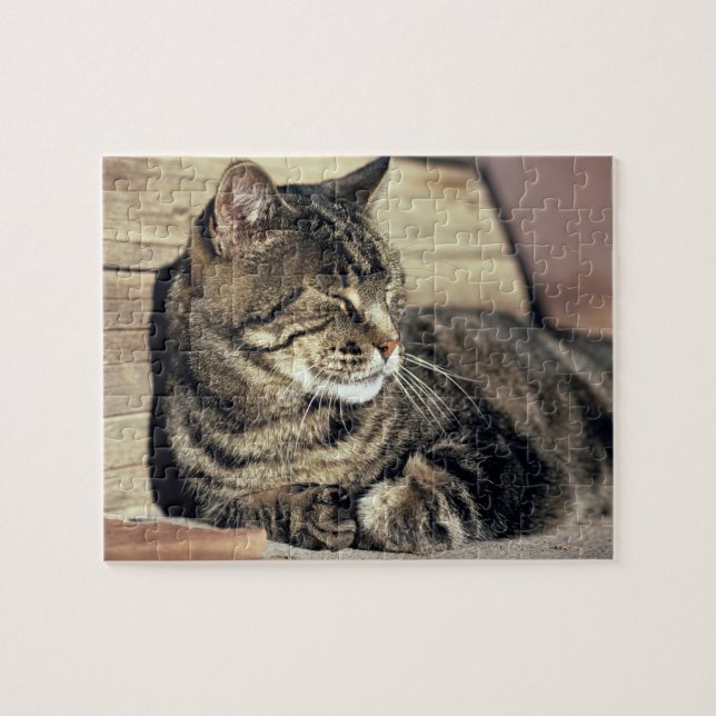 Puzzle EE. UU., Utah, Capitol Reef NP. Gato atigrado durm (Horizontal)