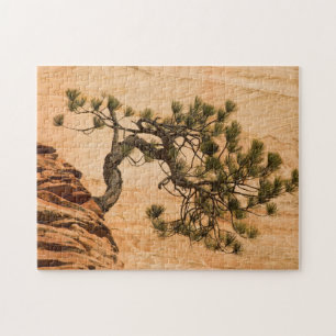 Puzzle EE. UU., Utah, Parque Nacional Zion. Pino