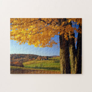 Puzzle EE. UU., Vermont. Escenario agrícola cerca de Sout