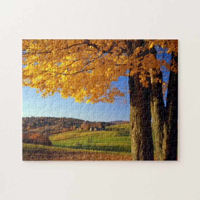 Puzzle EE. UU., Vermont. Escenario agrícola cerca de Sout (Horizontal)