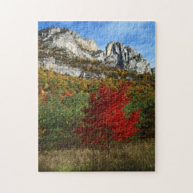 Puzzle EE. UU., Virginia Occidental, Spruce Knob-Seneca R (Vertical)