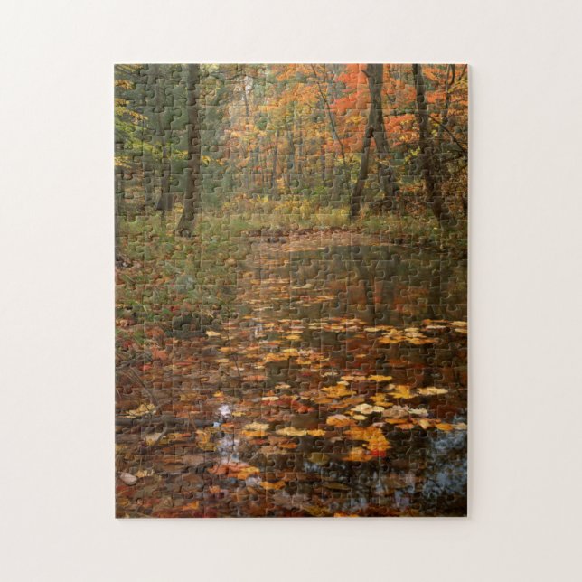 Puzzle EE. UU., Virginia, Otoño en el Parque Estatal Dout (Vertical)