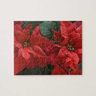 Puzzle EE. UU., WA, Detalle de poinsettia roja (Euphorbia