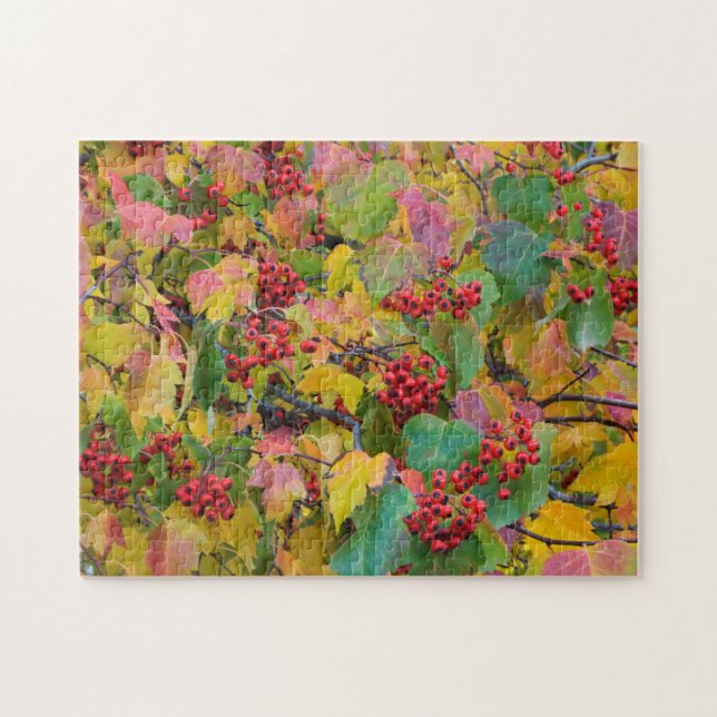 Puzzle EE. UU., Washington, condado de Spokane, Hawthorn  (Horizontal)