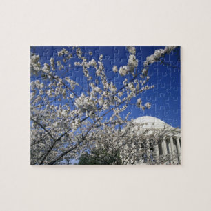 Puzzle EE. UU., Washington D. C. Festival de la Flor de C