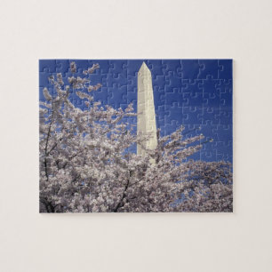 Puzzle EE. UU., Washington DC. Festival de las flores de