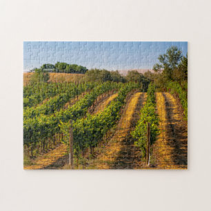 Puzzle EE. UU., Washington Oriental, Viñedos Walla Walla