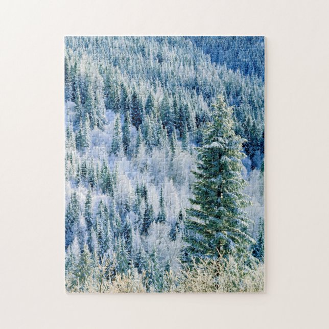 Puzzle EE. UU., Washington, Parque Estatal Mt. Spokane, A (Vertical)
