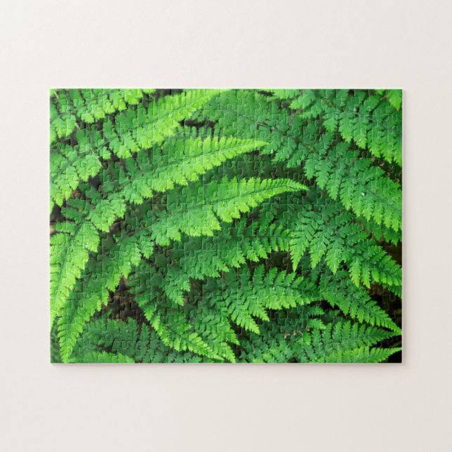Puzzle EE. UU., Washington, Parque Nacional Olímpico, Ath (Horizontal)