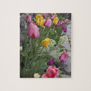 Puzzle EE. UU., Washington, Seabeck. Tulipanes bordean ja