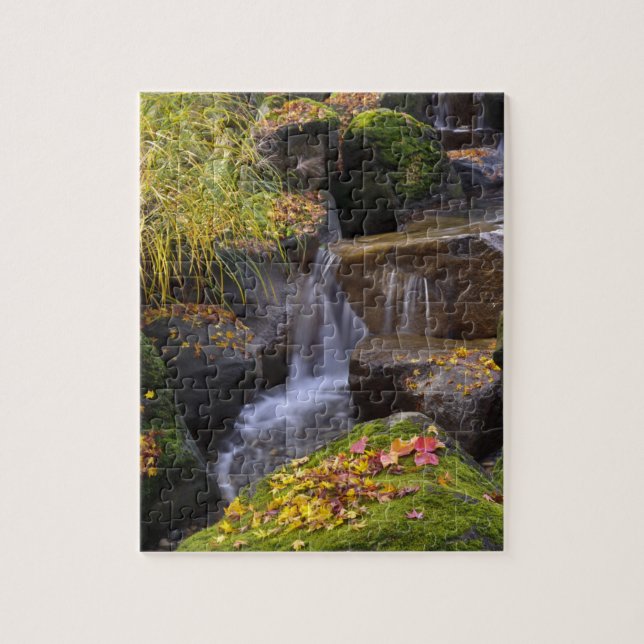Puzzle EE. UU., Washington, Seattle (Vertical)