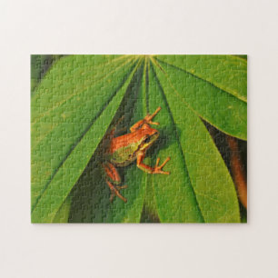 Puzzle EE.UU., Washington, Seattle, Discovery Park 2