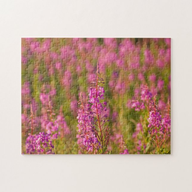 Puzzle EE.UU., Washington, Seattle, Discovery Park 3 (Horizontal)